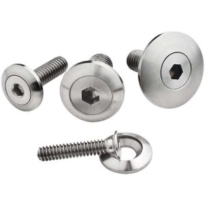 1/4-20 x 1in SS Bolts Pair