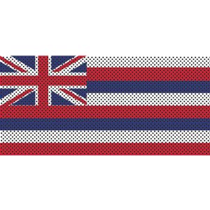 Jeep Wrangler Grill Inserts 07-18 JK Hawaii State Flag Under The Sun Inserts
