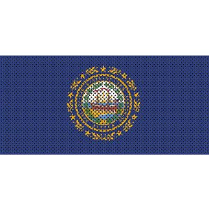 Jeep Gladiator Grill Inserts 2020-Present Gladiator New Hampshire State Flag Under The Sun Inserts