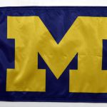 Michigan Flag Forever Wave