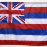 State Flag Hawaii Forever Wave