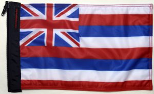 State Flag Hawaii Forever Wave