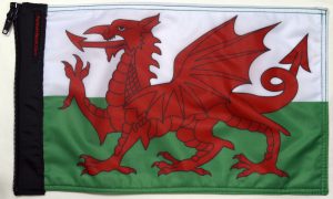 Wales Flag Forever Wave