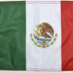 Mexico Flag Forever Wave