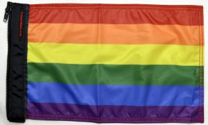 Rainbow Flag Forever Wave