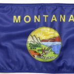 State Flag Montana Forever Wave