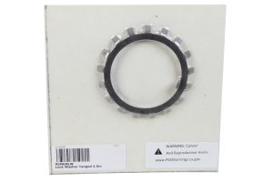 Lock Washer Tanged 2.5in GN