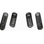 Fabtech 5in Front & Rear Long Travel Coil Springs - JT